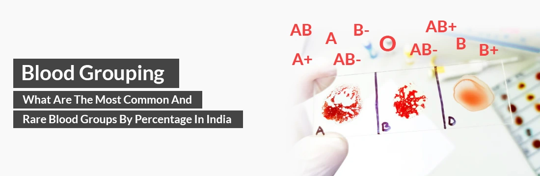  Most Common and Rare Blood Groups by Percentage in India